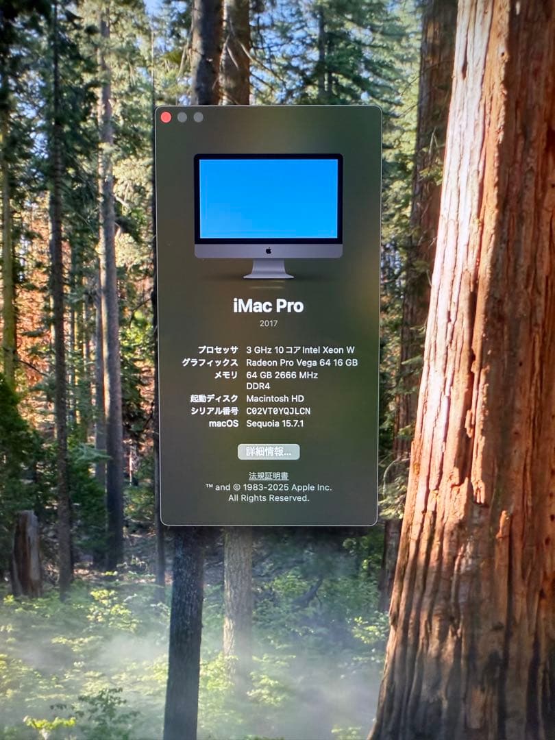 C*E様 iMac Pro 27インチ 3GHz10コアXeon W 64GB