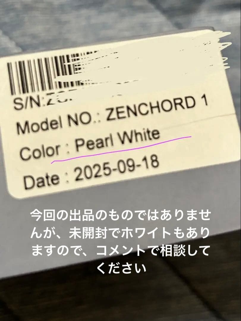 【新品未開封】Zenchord 1 ワイヤレスイヤホン ダークグレー