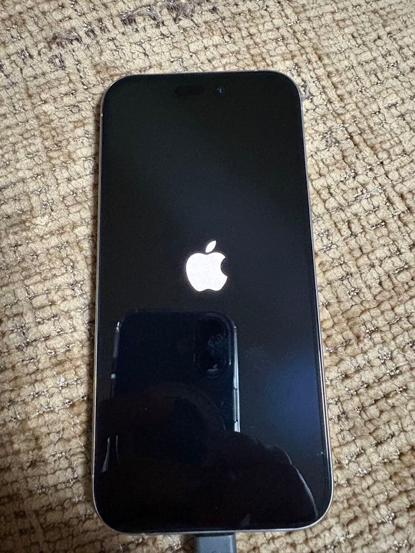 Apple iPhone 15Pro 256G ジャンク品