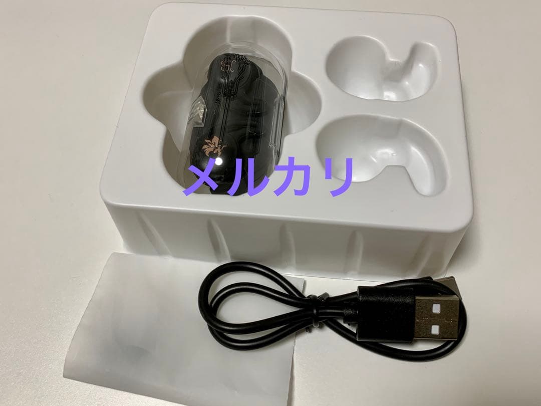 魔法使いの約束 まほやく ワイヤレスイヤホン ブラッドリー ONKYO