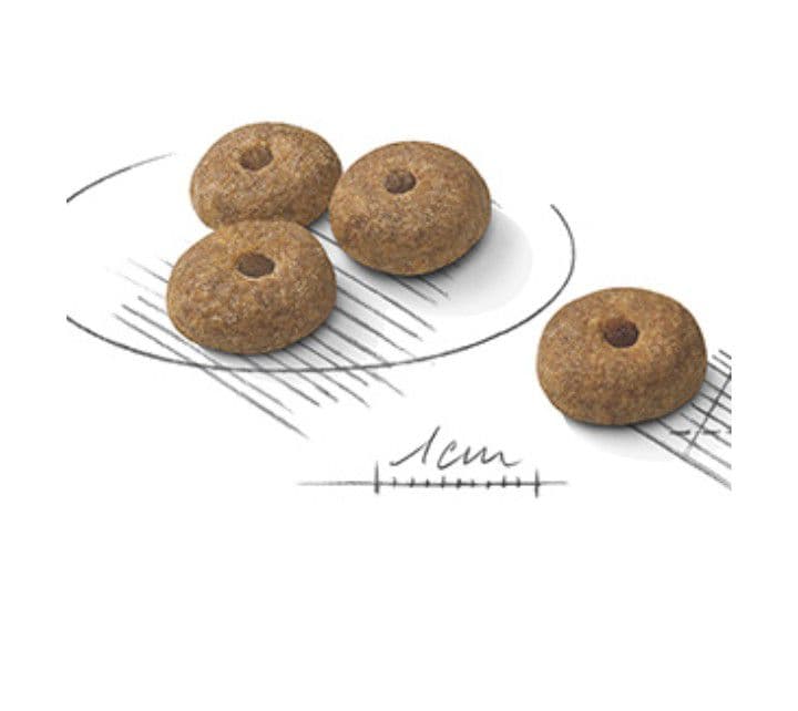 ロイヤルカナン ミニスティアライズド 8kg 二袋　16kg