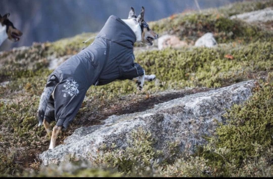 Hurtta エクストリームオーバーオール　40Ｍ　新品試着なし未使用