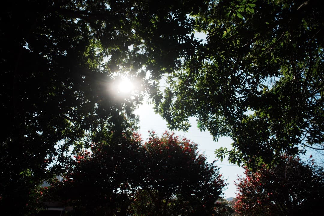 【美品】動作◎ ニコン Ai-s Nikkor 24mm F2.8 773