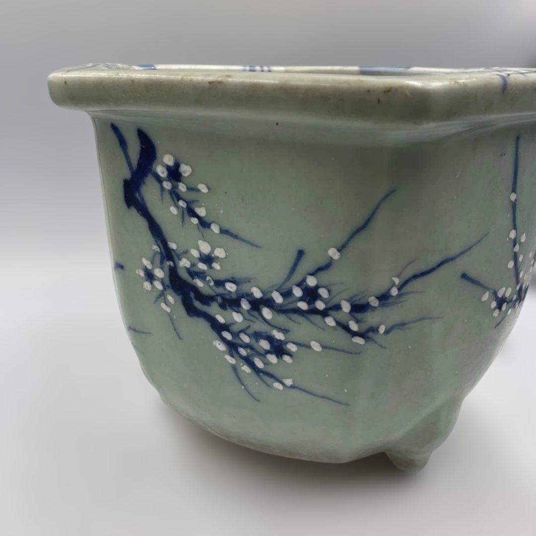 瀬戸 梅文 青磁 植木鉢 盆栽鉢 梅鉢 時代物　❷個セット