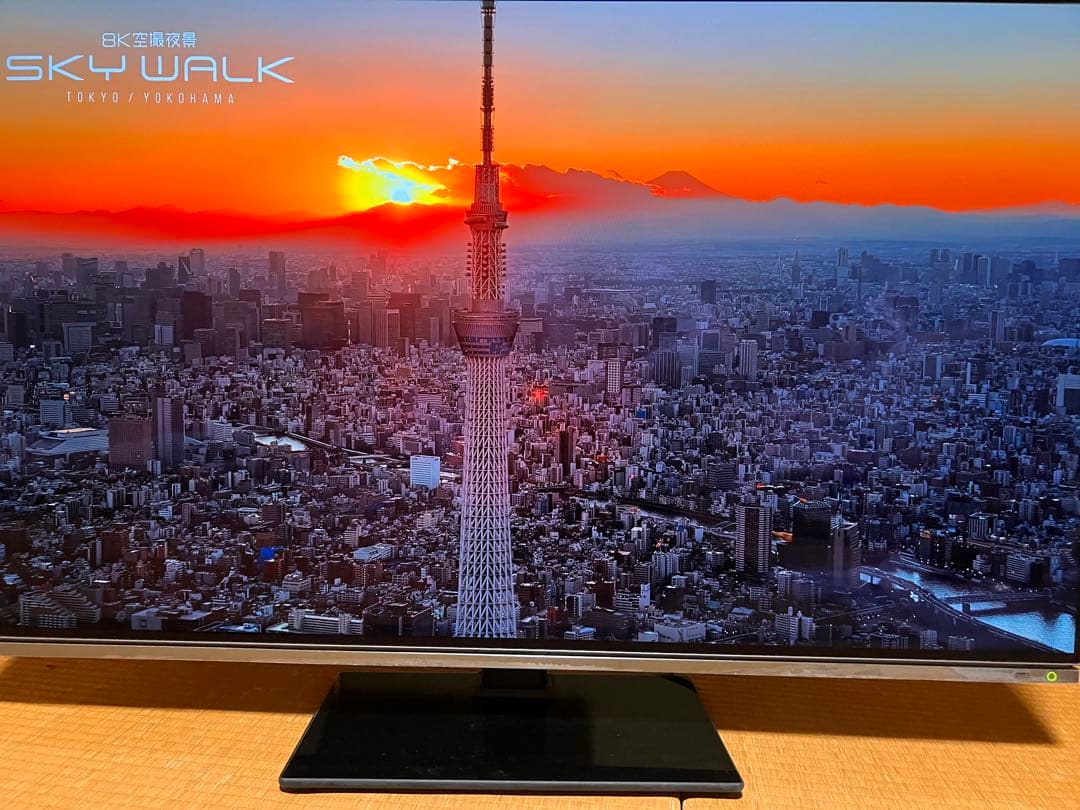 【引取限定】REGZA 48X8900K 有機ELテレビ