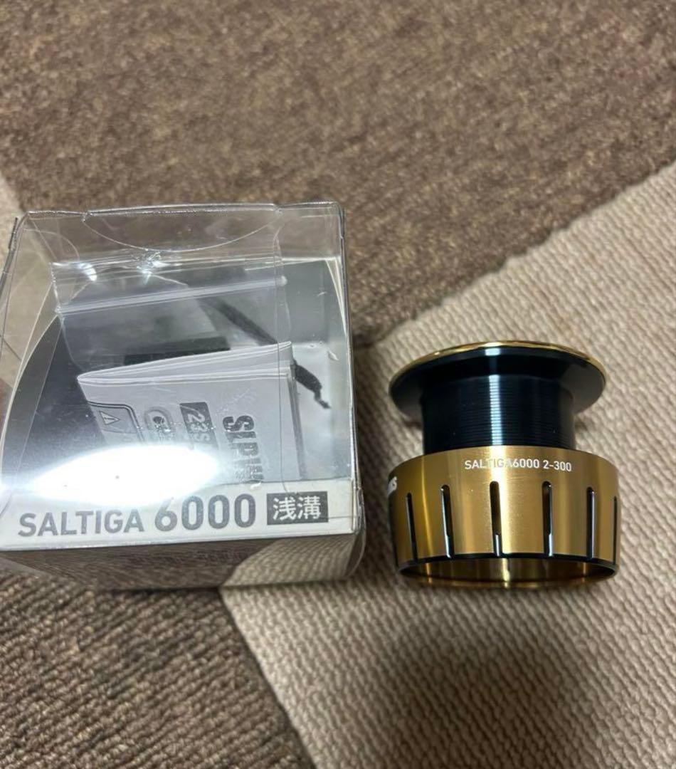 SLPワークス 23 ソルティガ 6000 2-300