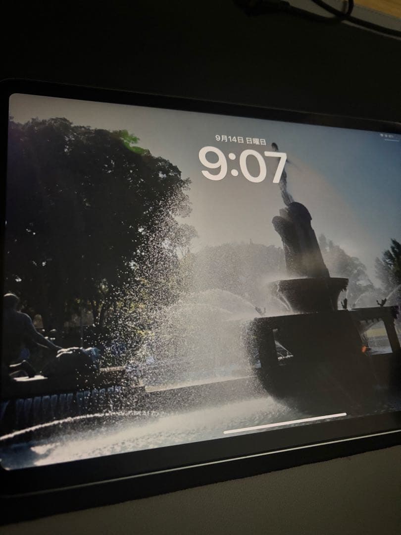 iPad Pro 第4世代　256GB ジャンク　言い値、コメントください