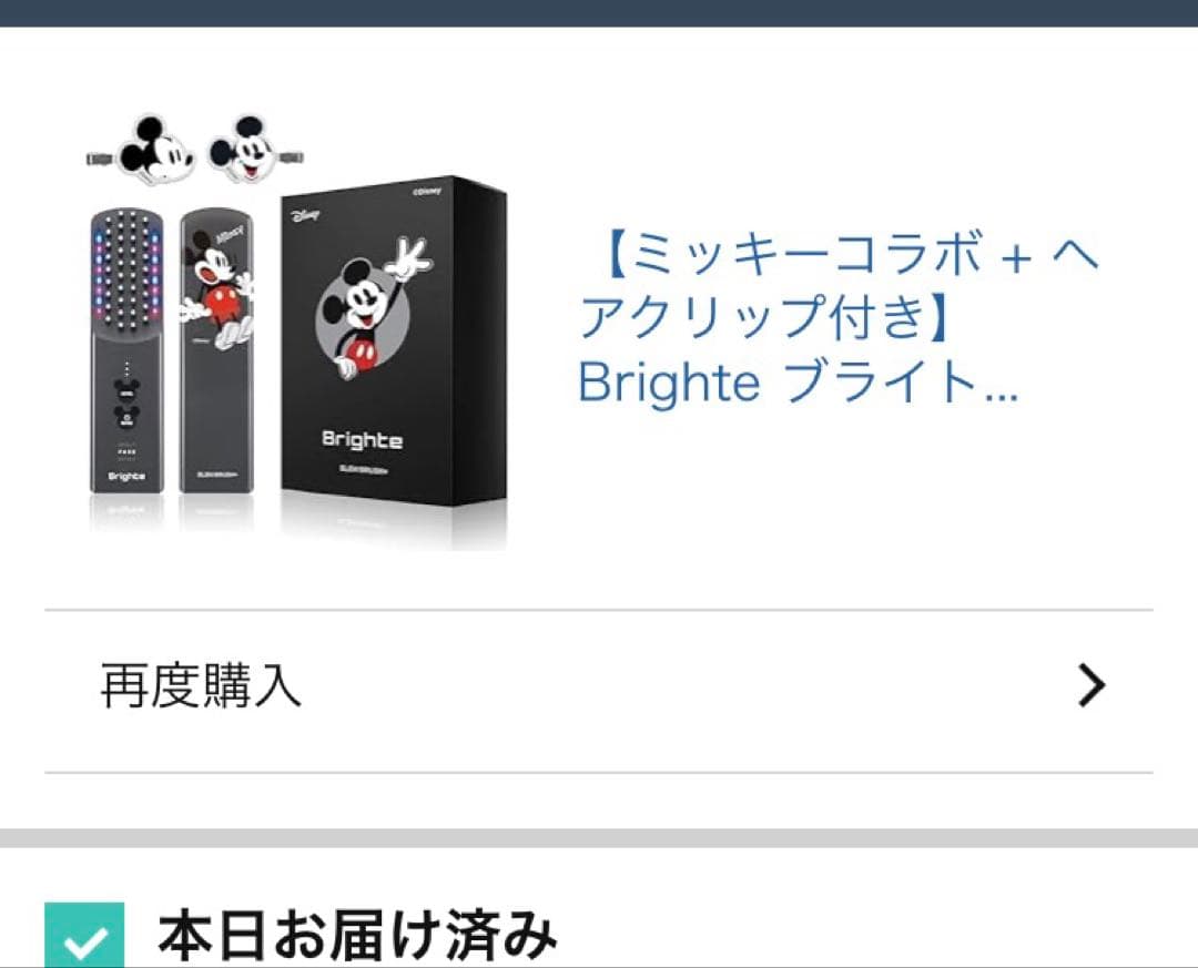 Brighte ELEKI BRUSH+ブラックミッキー限定デザインヘアクリップ