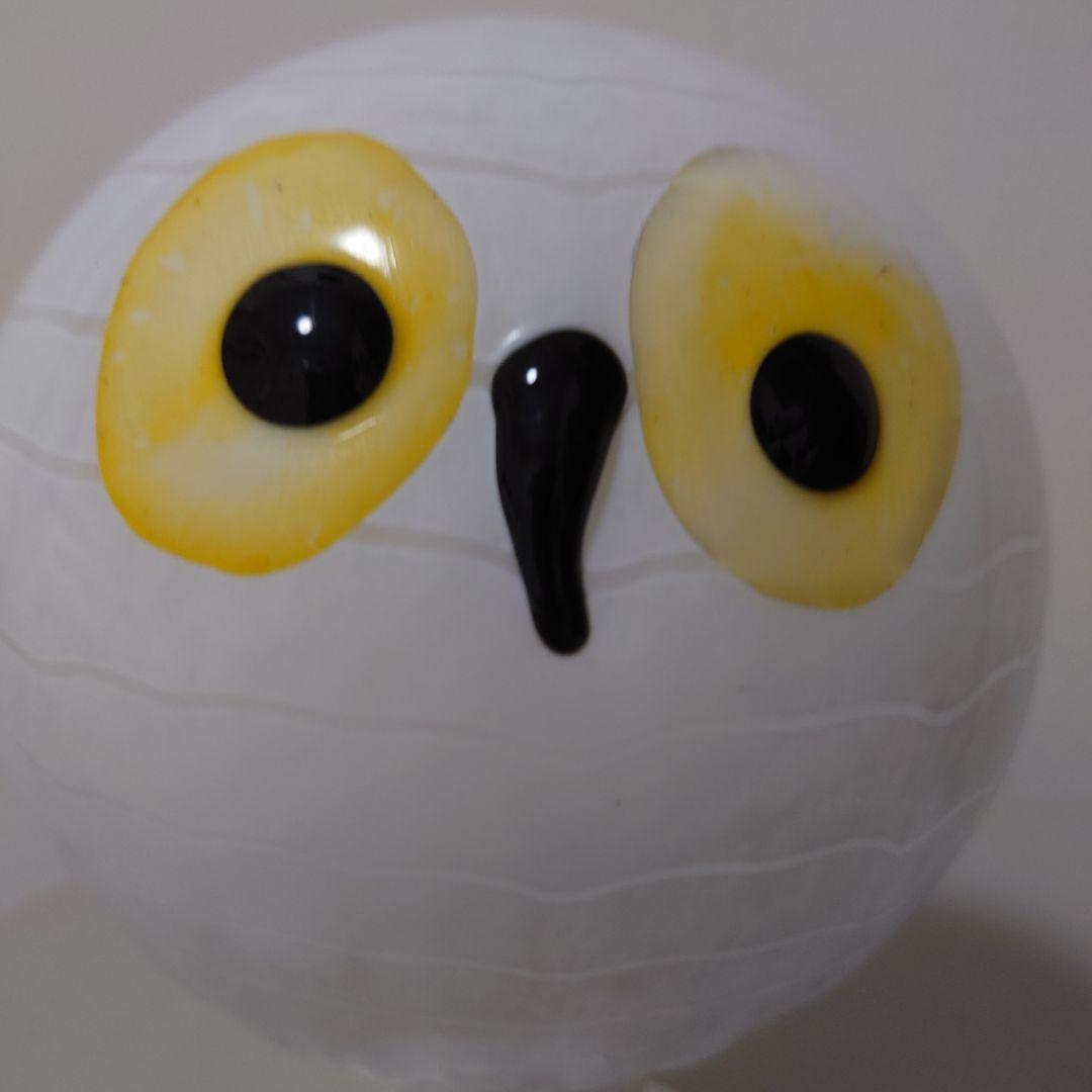 イッタラバード　オイバトイッカ　オウル　フクロウ　scope限定