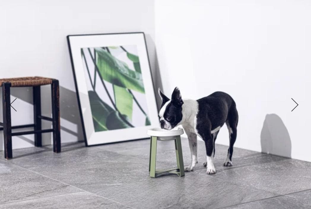 PECOLO Food Stand Ltall　オリーブ