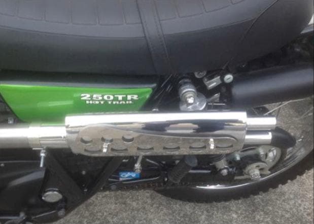 (⭐︎Tarucyan) 250TR アップマフラー パープルヘイズ