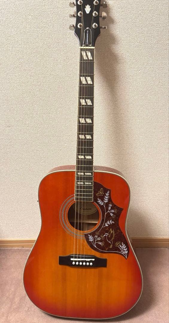 エピフォン　エレアコ　Hummingbird PRO ソフトケース付