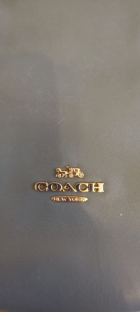 【新品】COACH グリーン ショルダーバッグ スカーフ付き