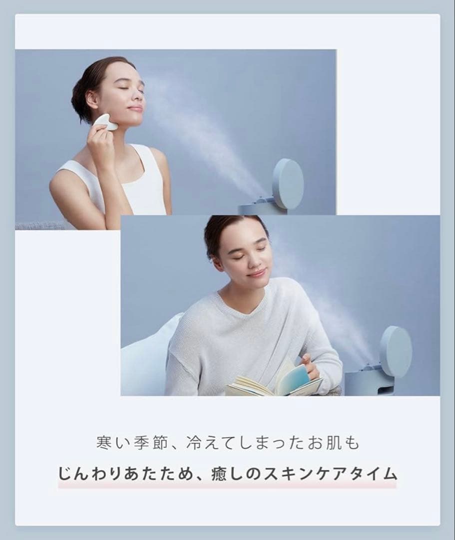 SALONIA フェイススチーマー グレー