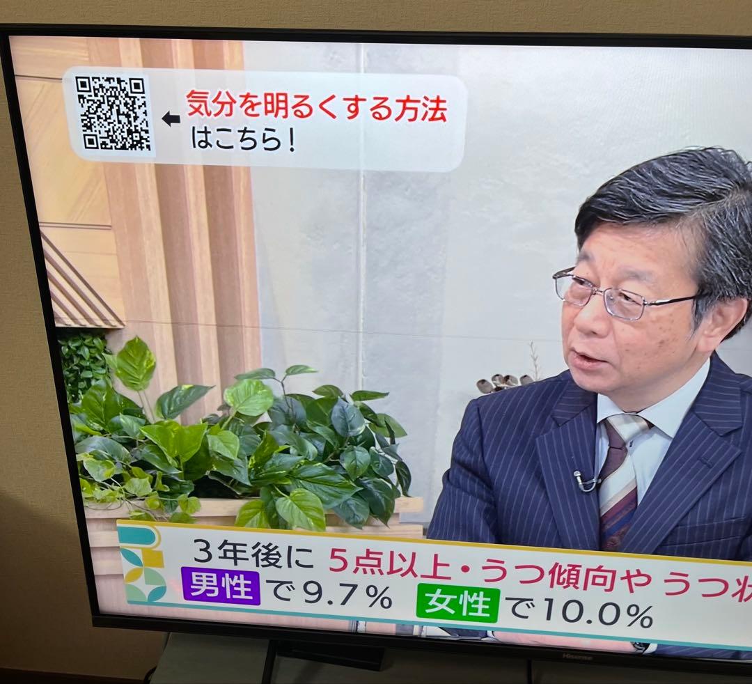 2024年製 ハイセンス 4K液晶テレビ 50E7H 50インチ　ライン抜け有