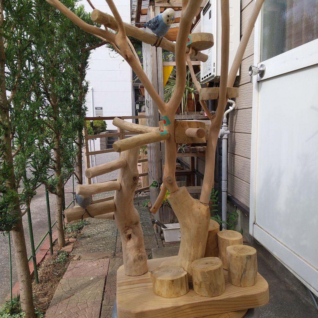 ココア牛乳インコバードアスレチックツリージム楽園シリーズ④