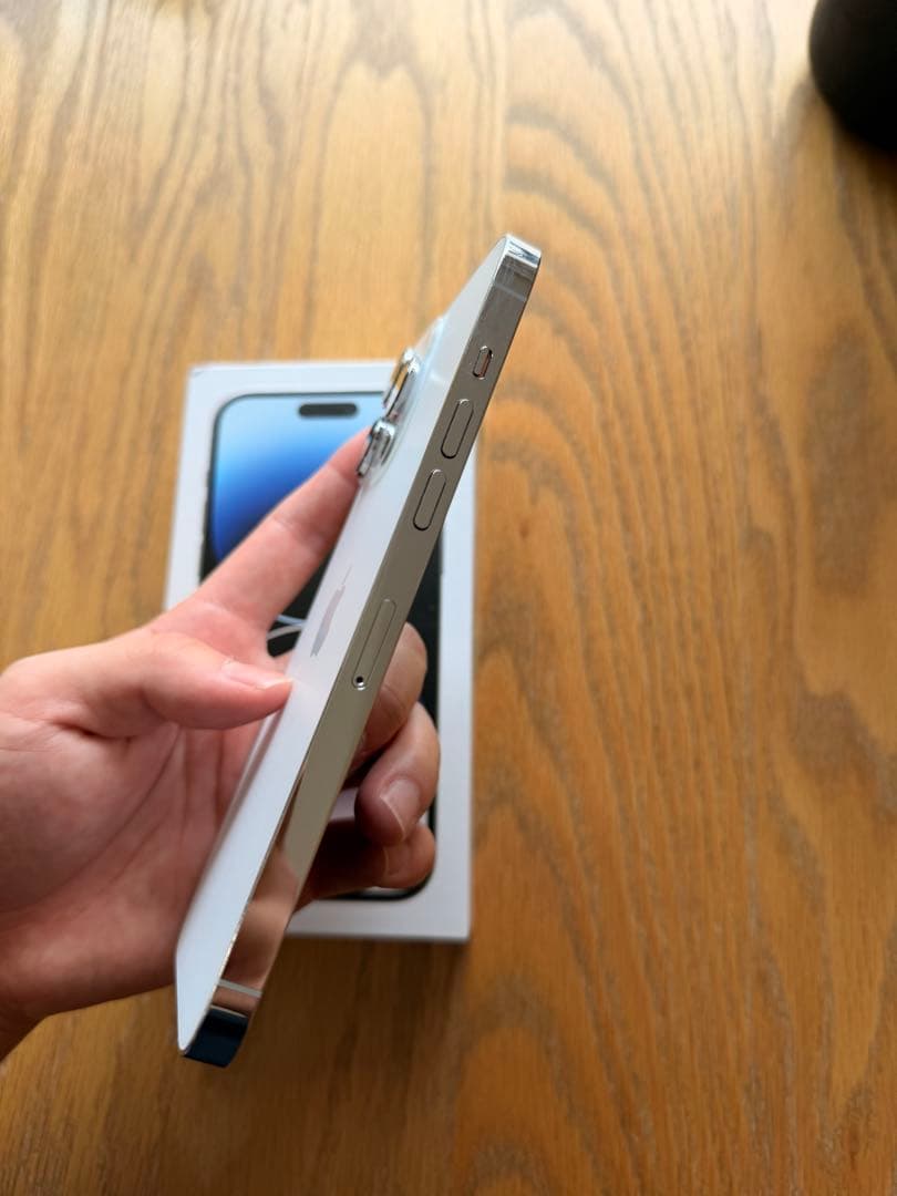 海外　Apple iPhone 14 Pro Max シルバー 本体 256GB