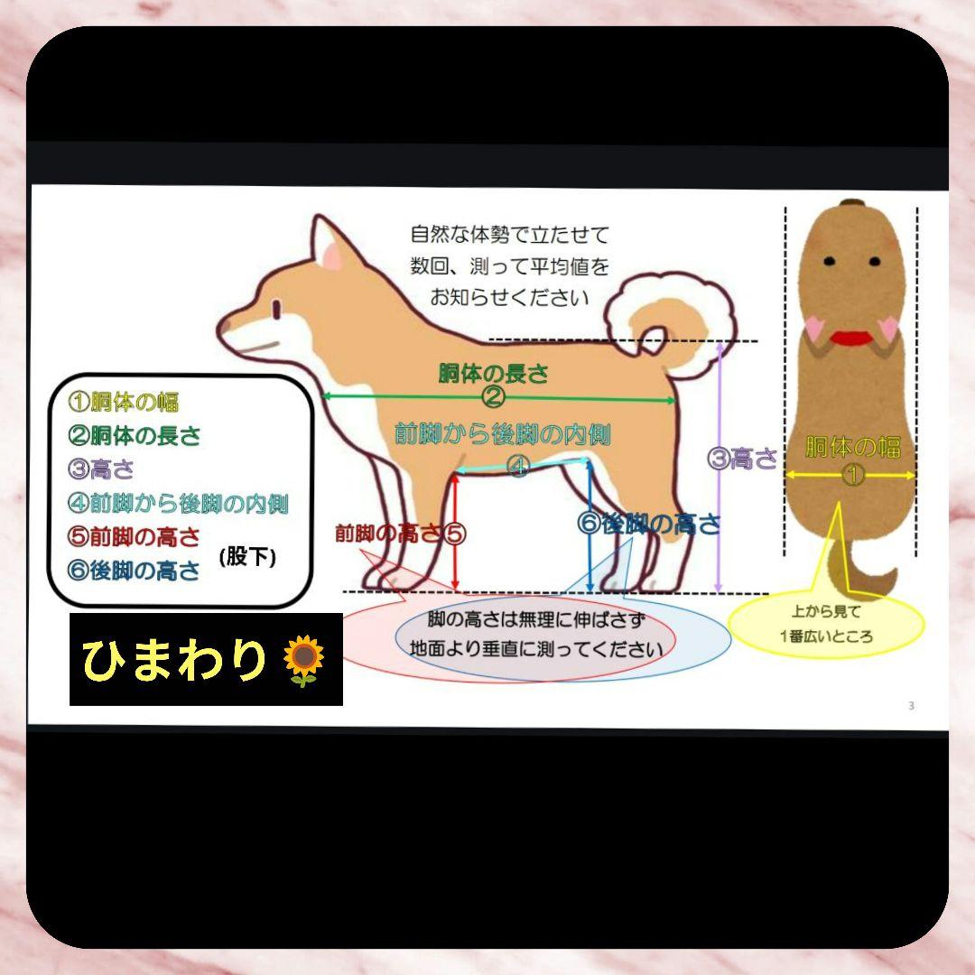 柴ミックス4輪　リハビリ　食事補助　犬用車椅子　体制維持　犬の歩行器