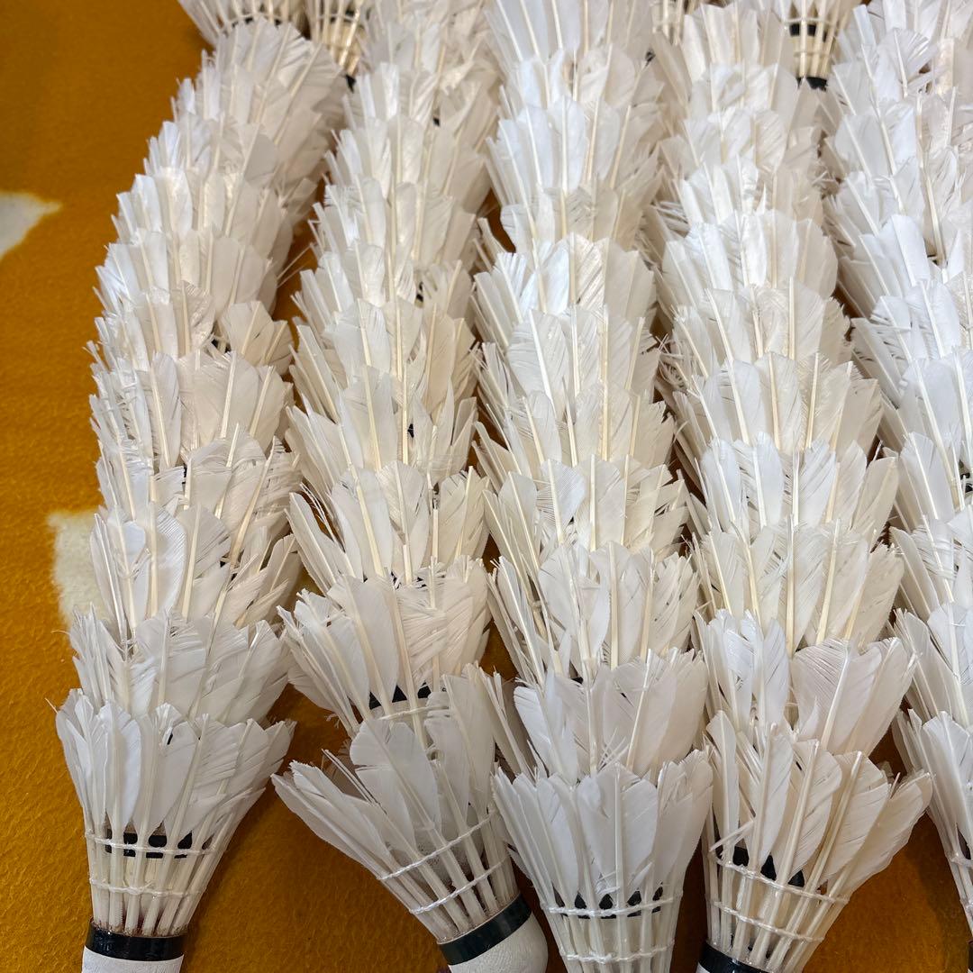 バドミントン　ノック用シャトル　220球セット　ヨネックス　ゴーセン