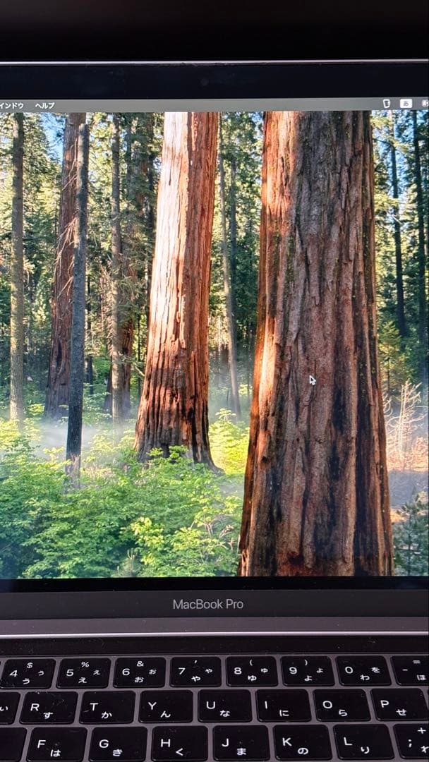 Apple MacBook Pro i7 メモリ16GB 13inch 2019