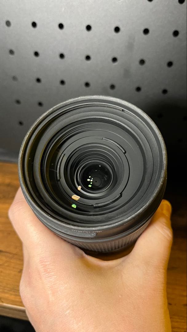 タムロン18-300mm F/3.5-6.3 Di III-A VC VXD E