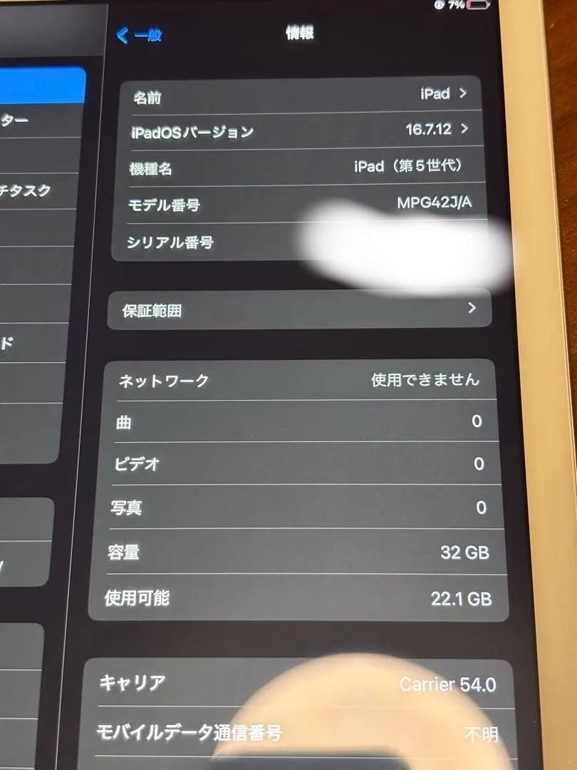 Apple iPad (第5世代) ゴールド 32GB ケース付き