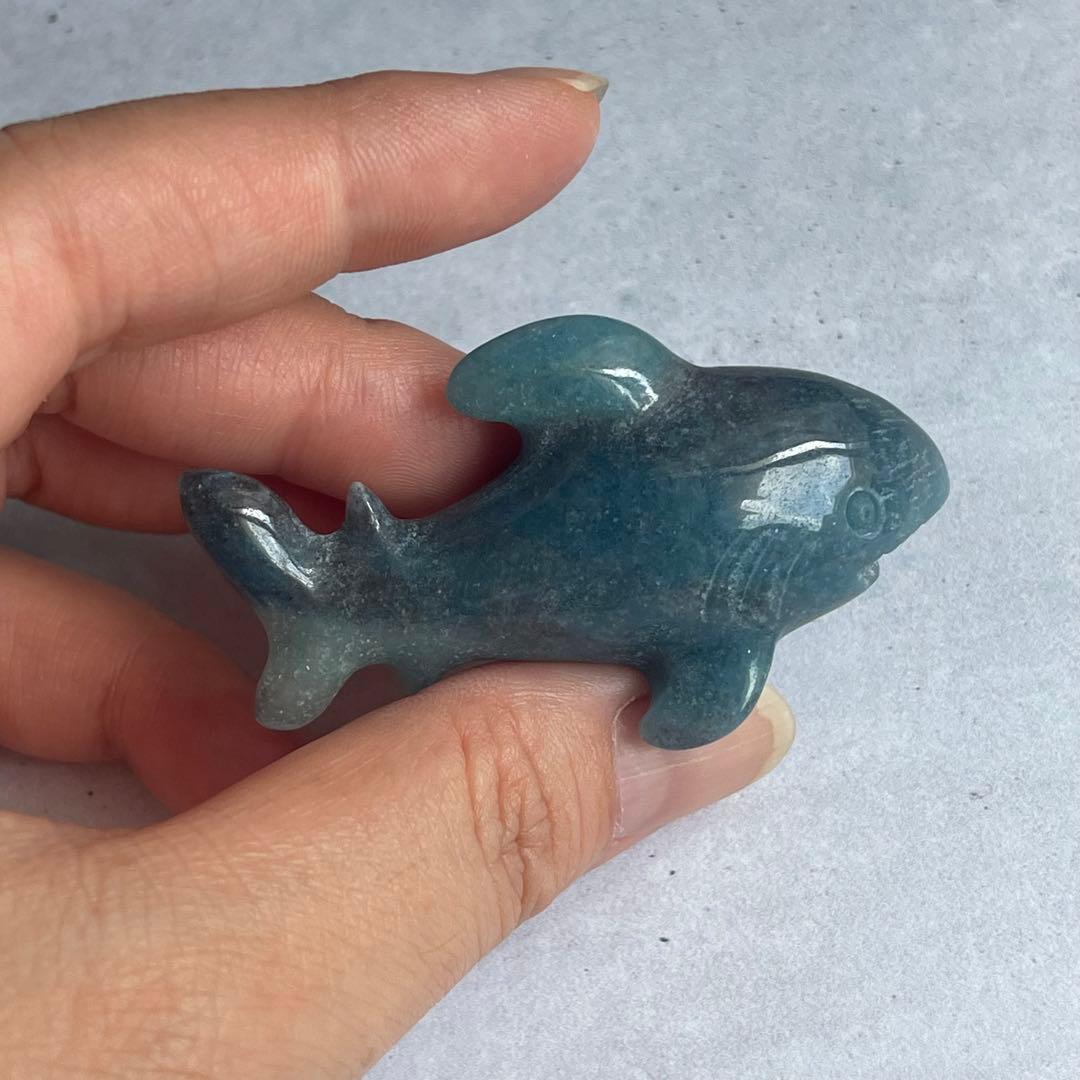 トロレアイト 鮫 サメ