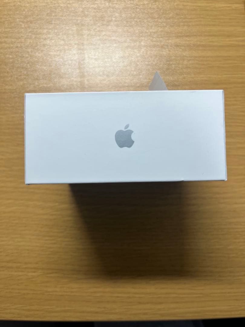 イヤホン Apple AirPods pro2 type C