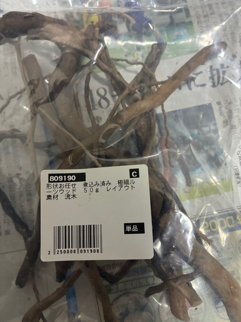 【沈下処理済み】ブラックスマトラブランチウッド