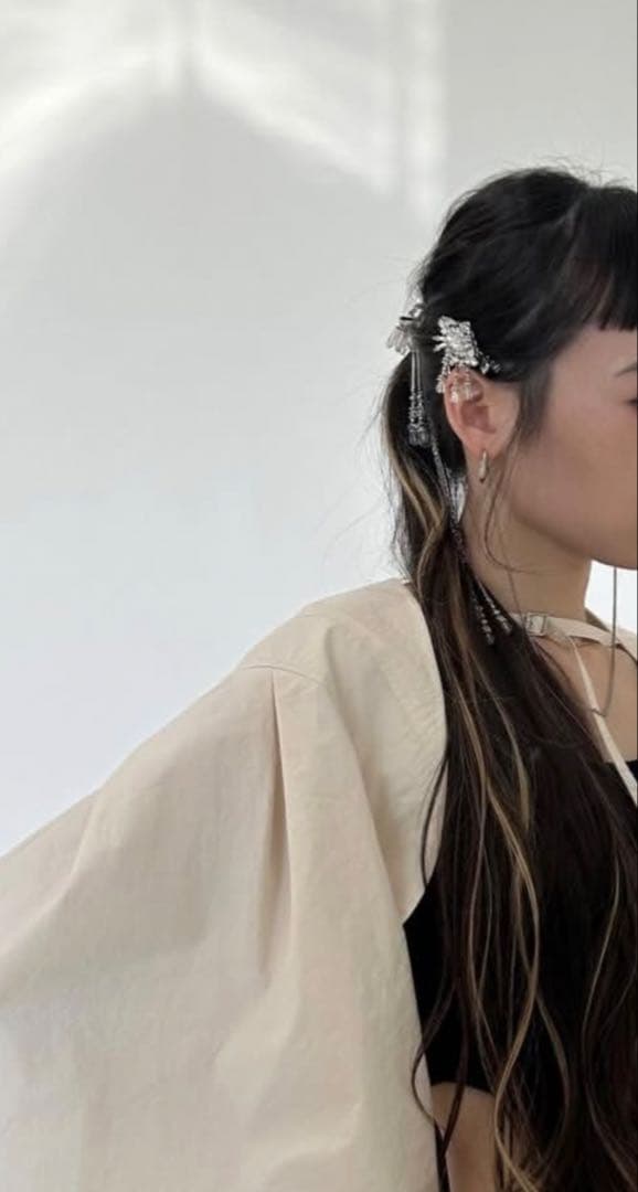 Tanaka Daisuke / crystal hair clip 左用