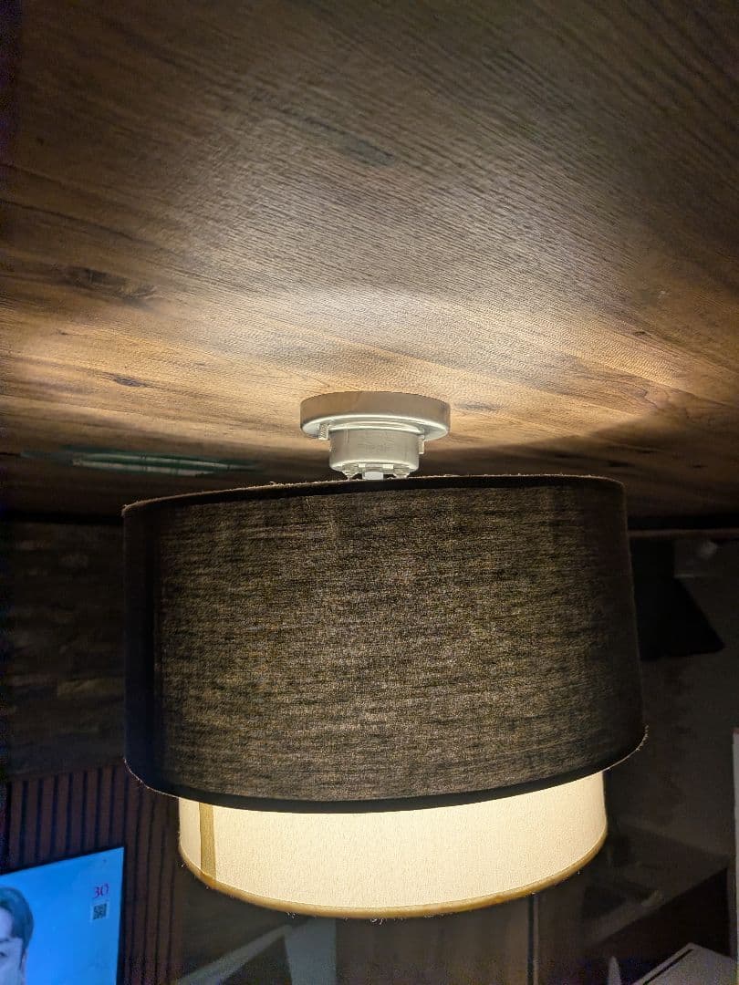 9 遠藤照明 和風 おしゃれ ペンダント シーリング ライト 引っ掛け