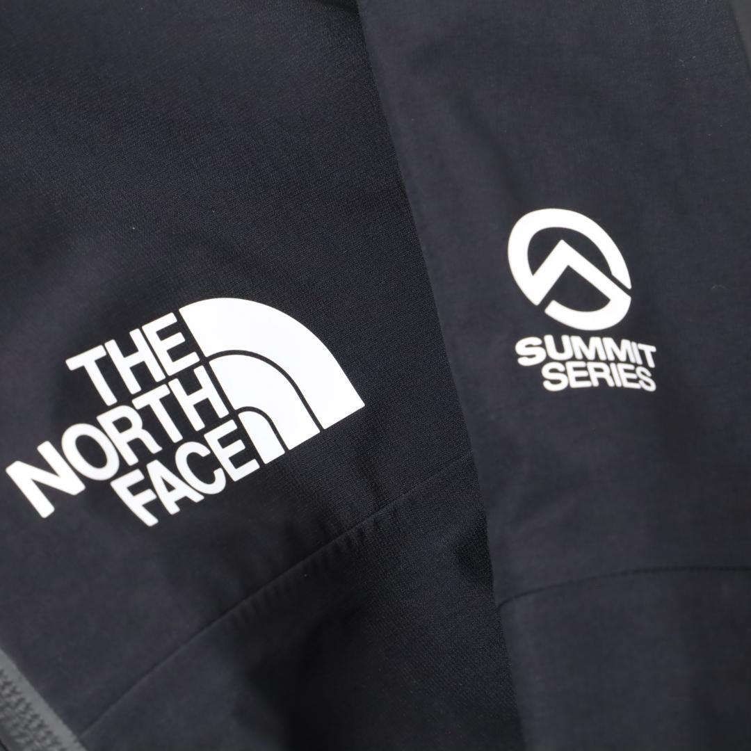 513 新品 ザノースフェイス フューチャーライト パンツ ビブパンツ