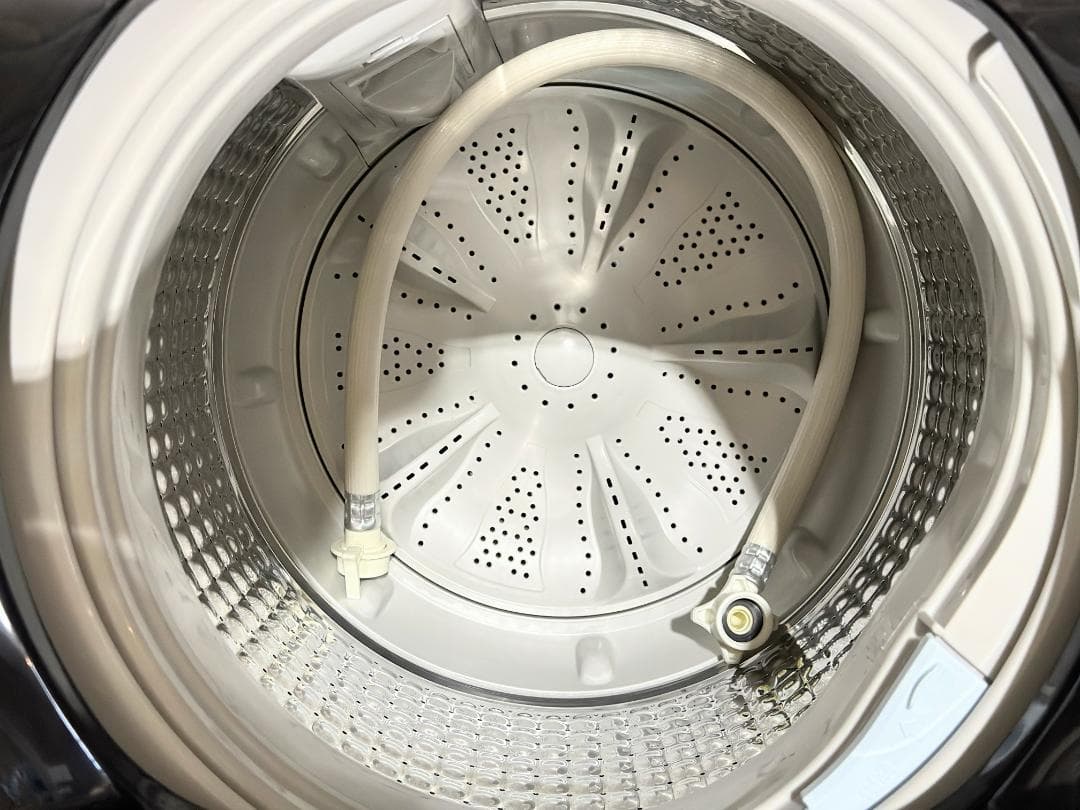 新生活 一人暮らし 送料無料 ハイアール 洗濯機 5.5kg