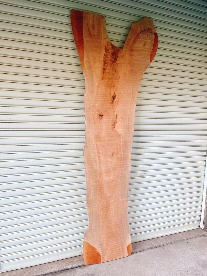 天然　タブ　木材　天板　無垢材　一枚板　テレビ台　デスク　カウンターテーブル