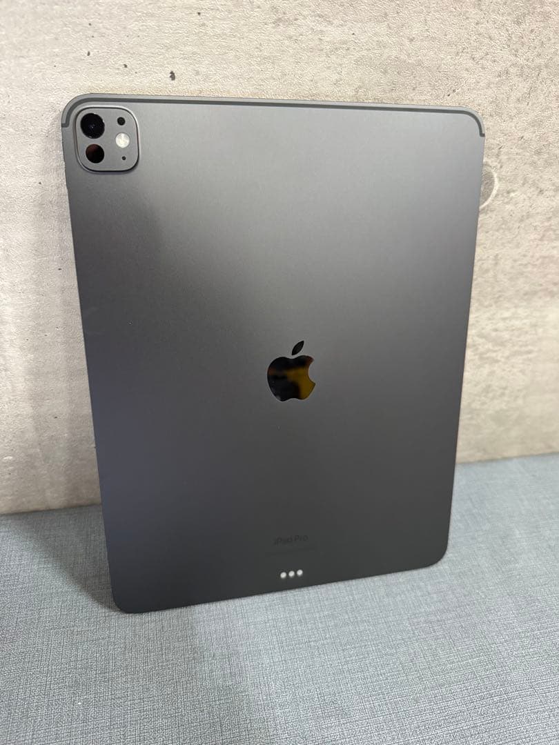 ☆iPad Pro (4M) 13インチ 256GB Wi-Fiモデル