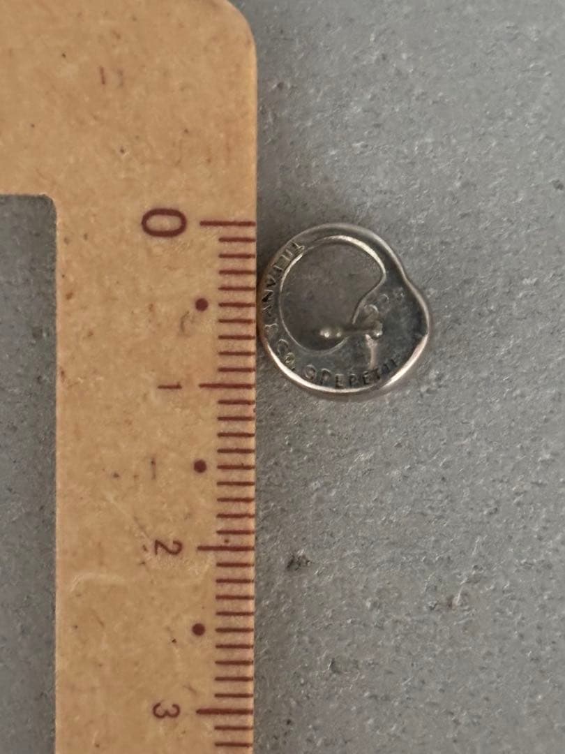 Tiffany & Co. シルバー エターナルピアス