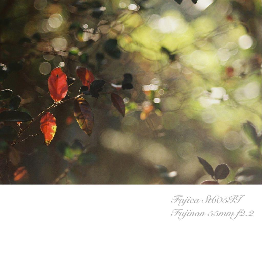 fujica st605ii＊fujinon 55mm f2.2＊完動品・美品