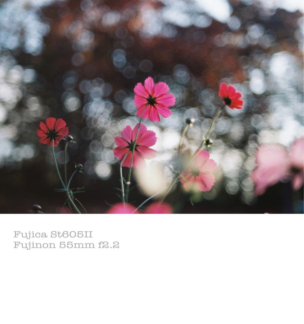 fujica st605ii＊fujinon 55mm f2.2＊完動品・美品