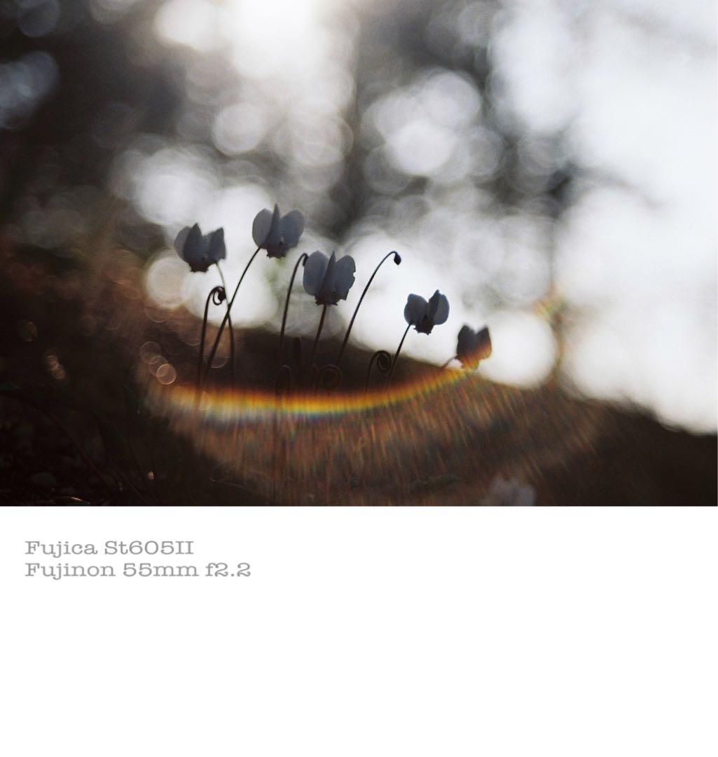 fujica st605ii＊fujinon 55mm f2.2＊完動品・美品