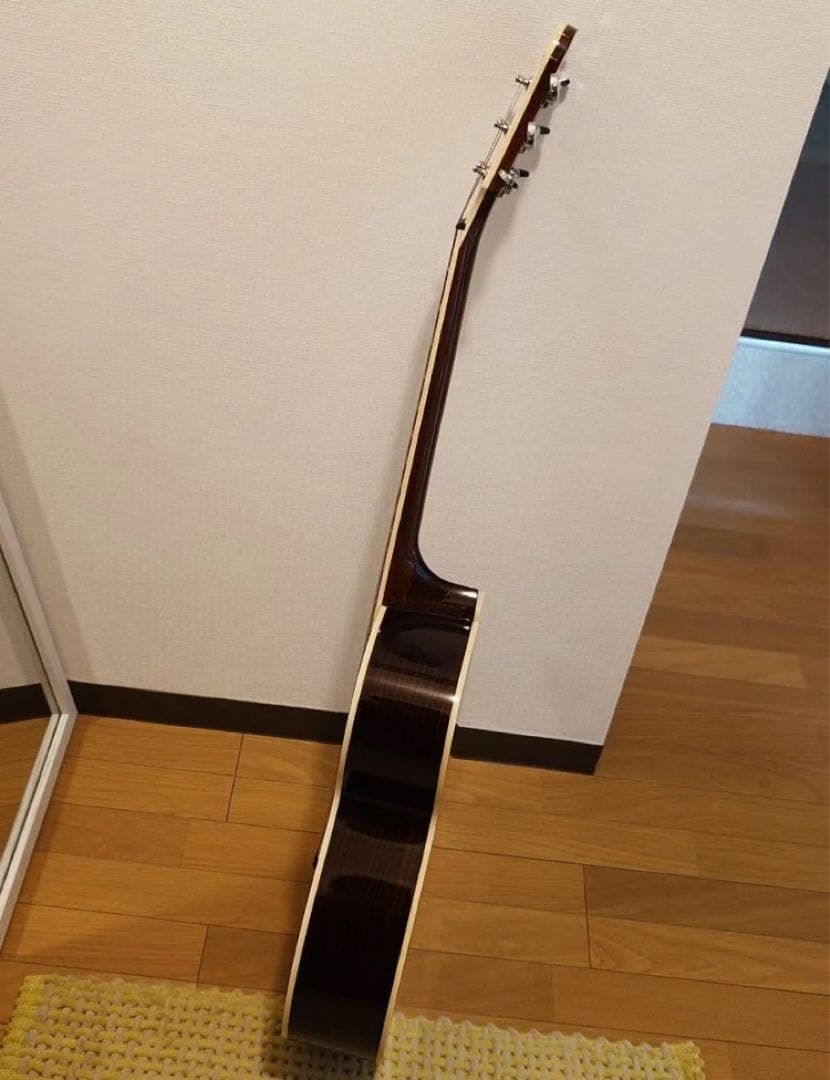 ギター ARIA Meister AMS-01