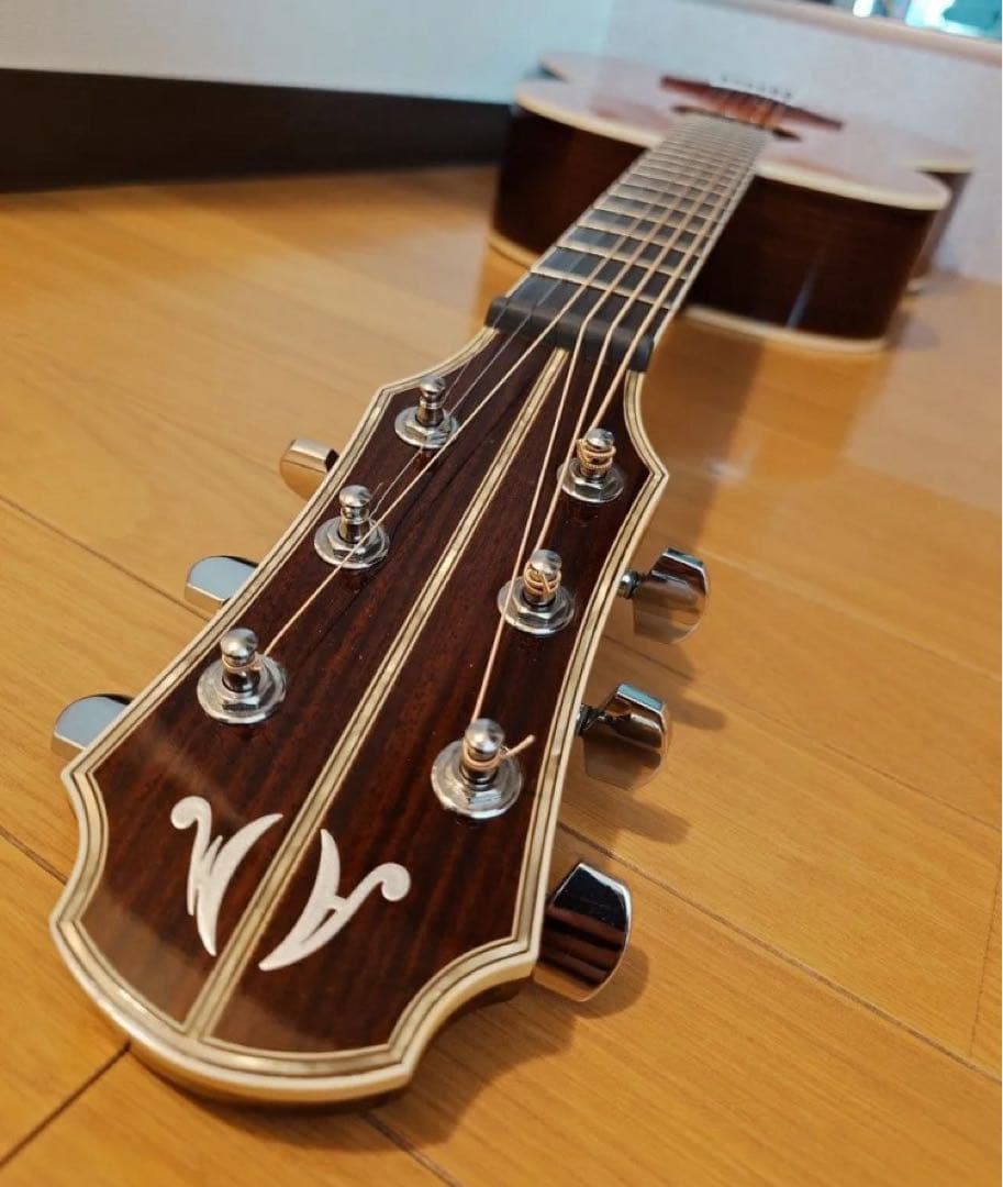 ギター ARIA Meister AMS-01