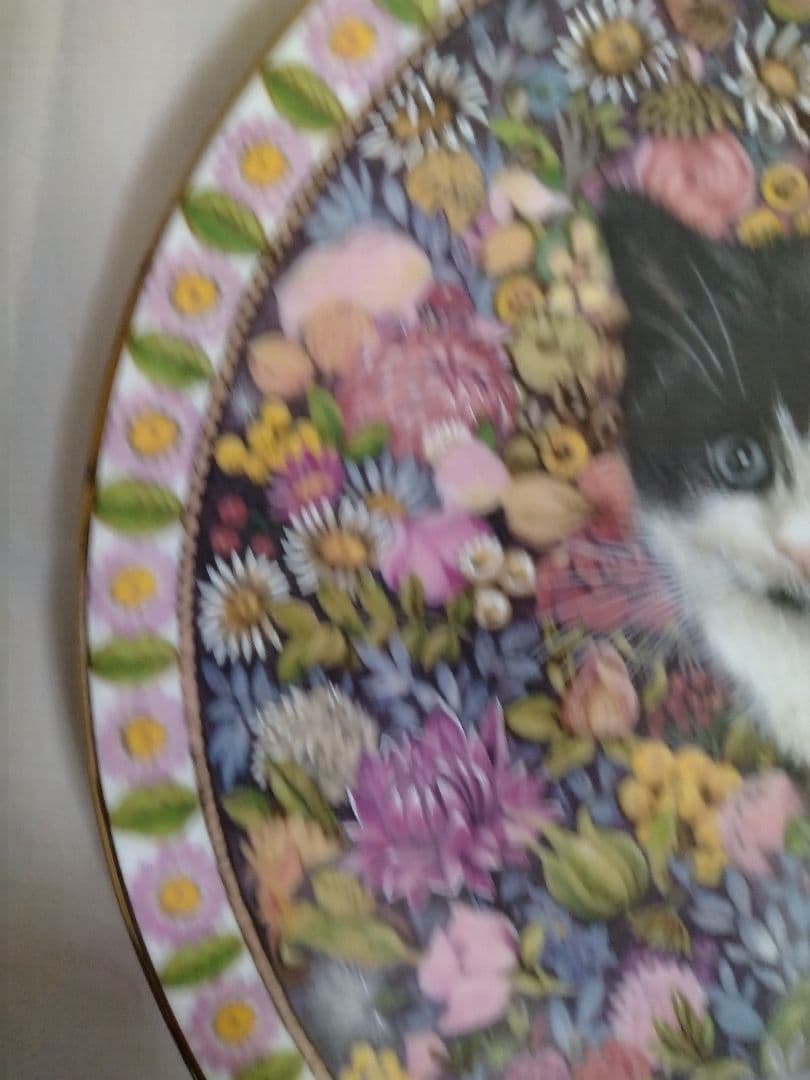 エインズレイ　猫の絵皿　英国製　　　　ボーンチャイナ　美品