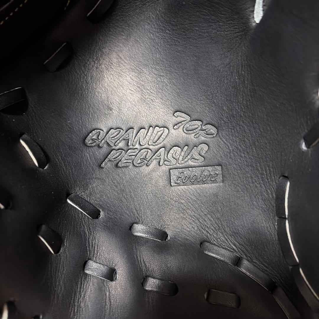 ワールドペガサス　硬式内野手用　新品未使用袋付きWGK4TE11L