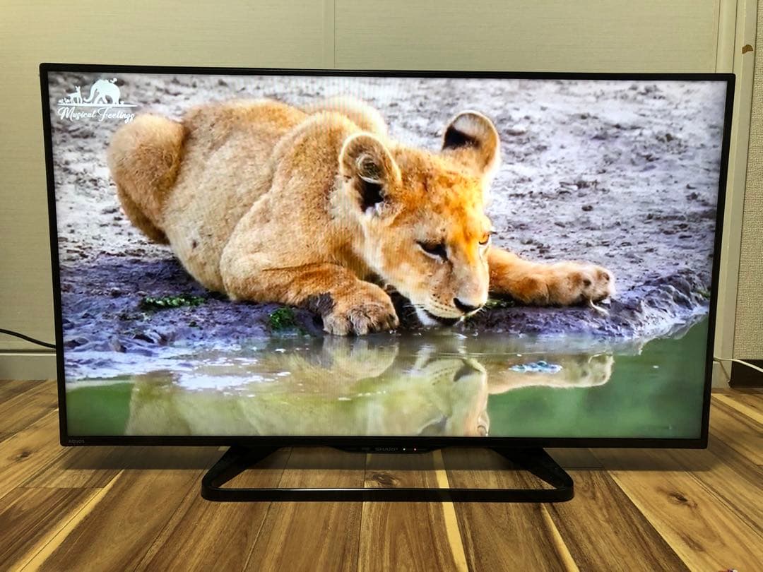 シャープ 40V型液晶テレビ AQUOS LC-40W35 2016年製