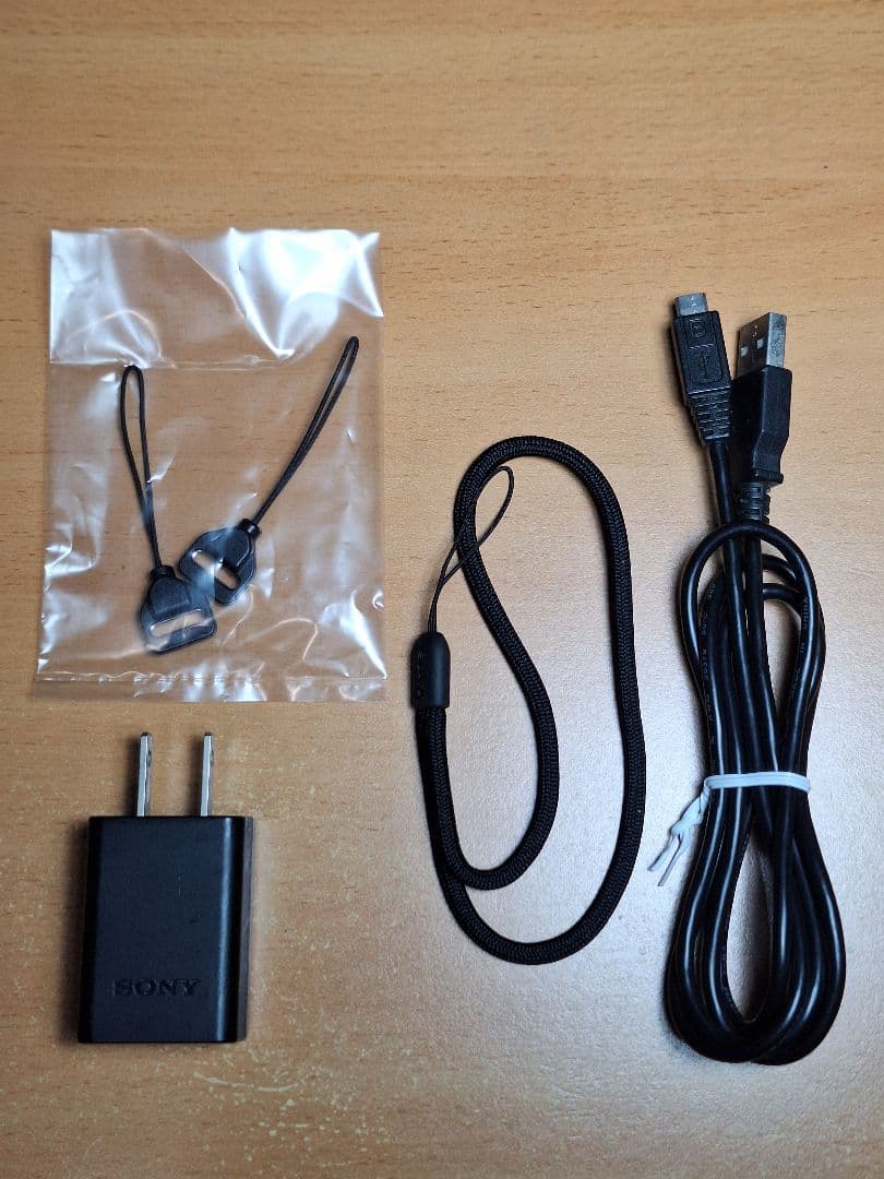 SONY Cyber-shot【DSC-RX100】★初代 ★美品