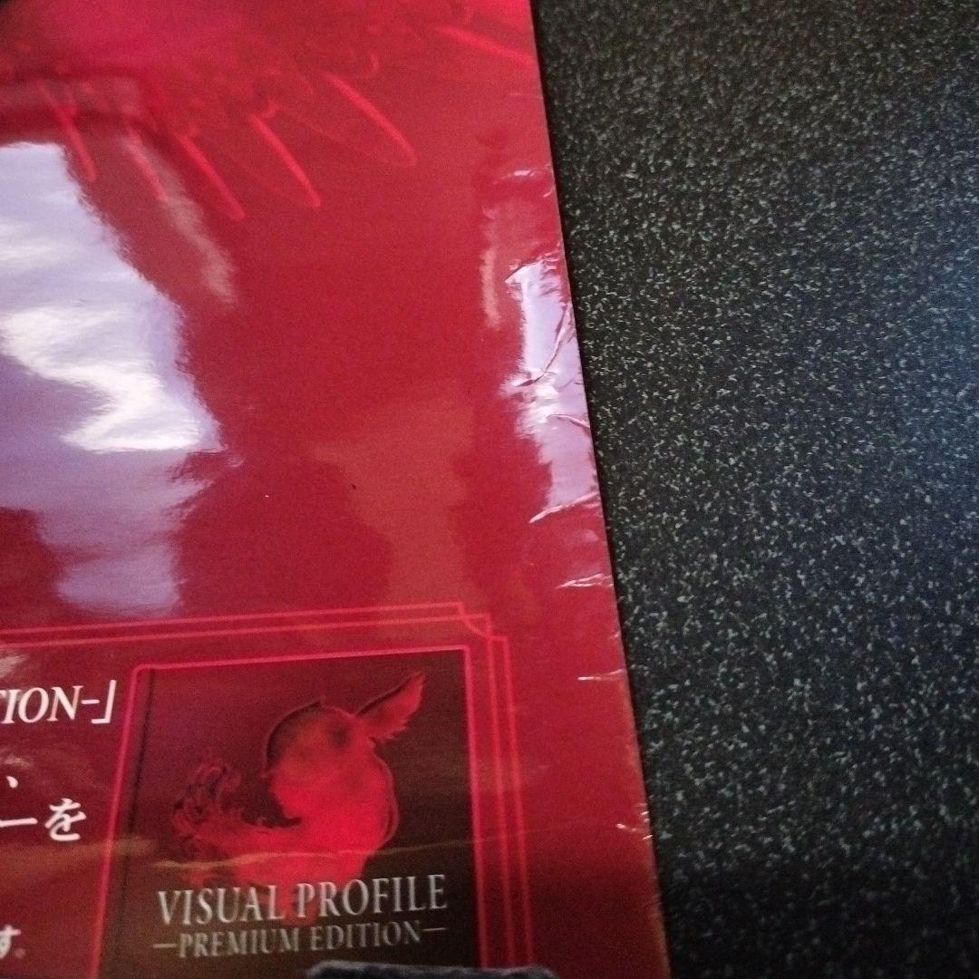 ヴァルキリープロファイル　咎を背負う者　販促用B2ポスター