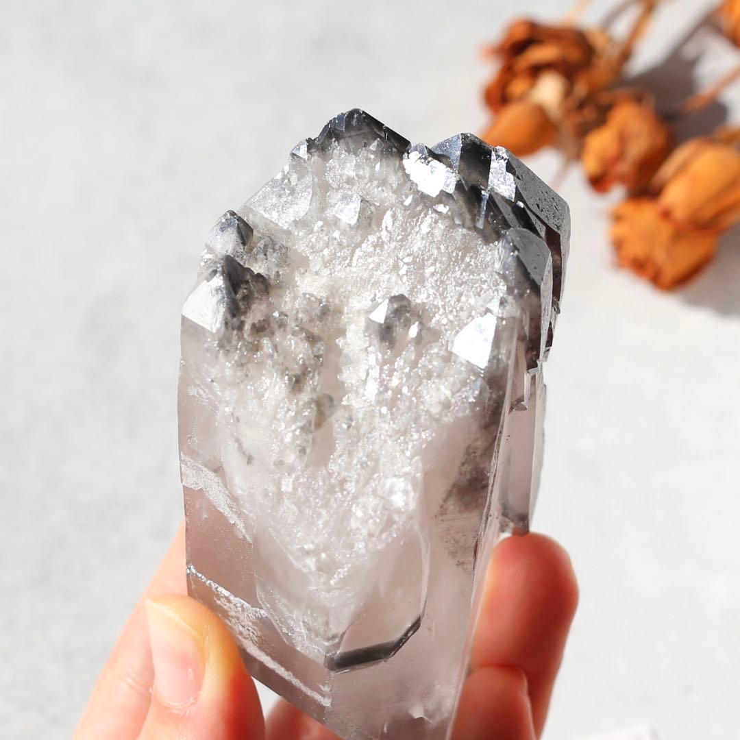 希少！ブラックレムリアンシード 天然石 水晶 鉱物 クォーツ セルフヒールド