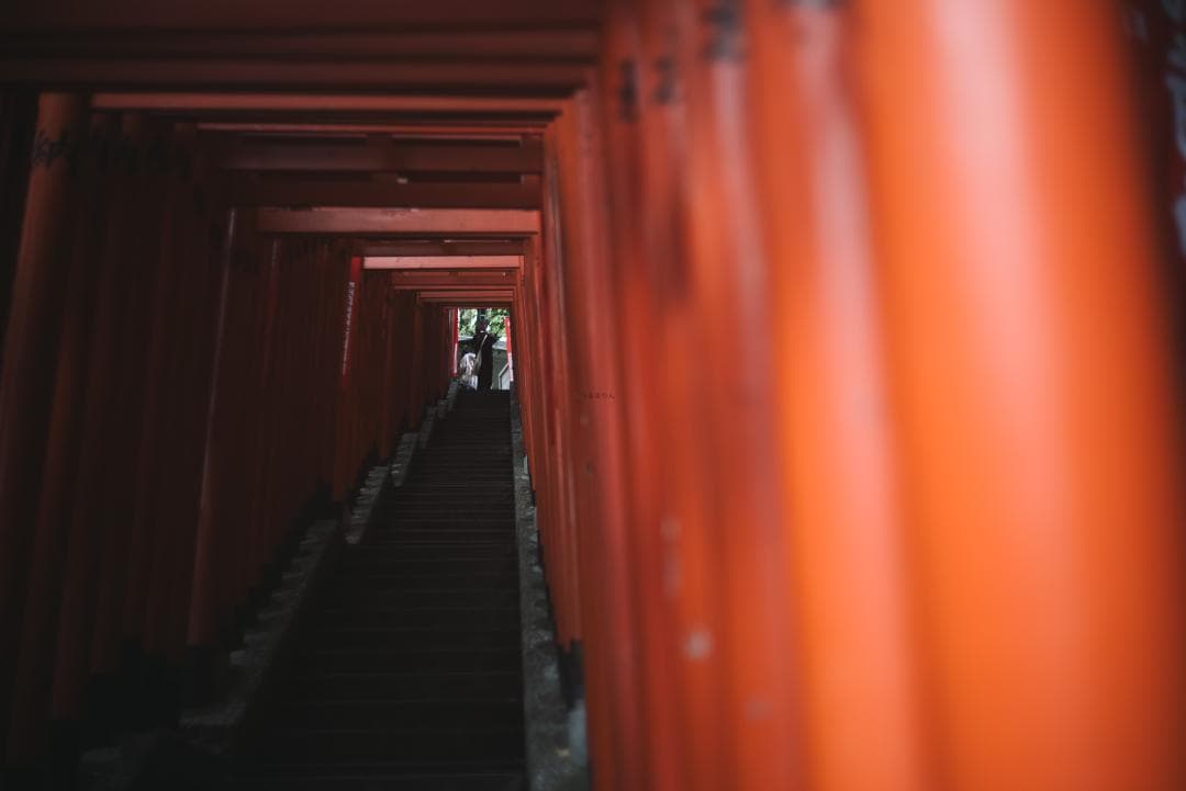 SALE！虹の出る癖玉！Leica Summar 50mm f2 オールドレンズ