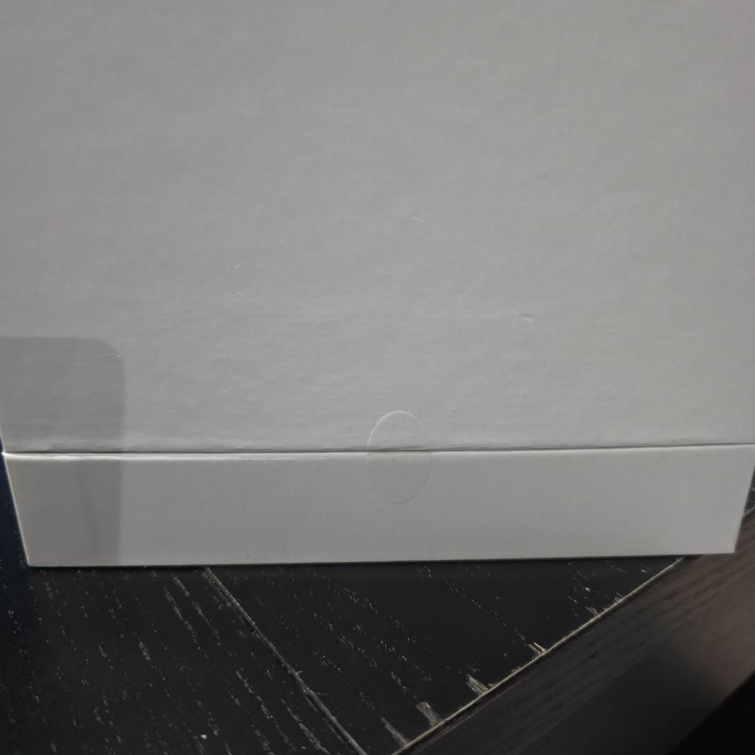 SALONIA（サロニア）ピュアブライトスチーマー