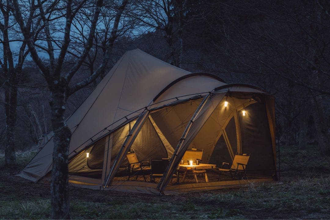 ZANE ARTS LOLO ロロ FP付き 使用3-4回 美品